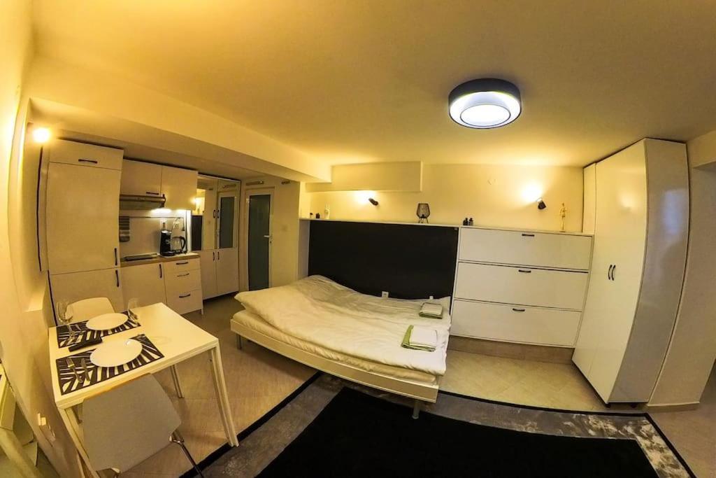 דירה With Courtyard Just Steps Away Vitosha Str סופיה